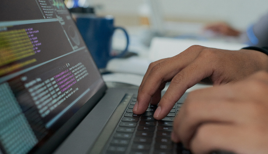 Python Programming Basics  